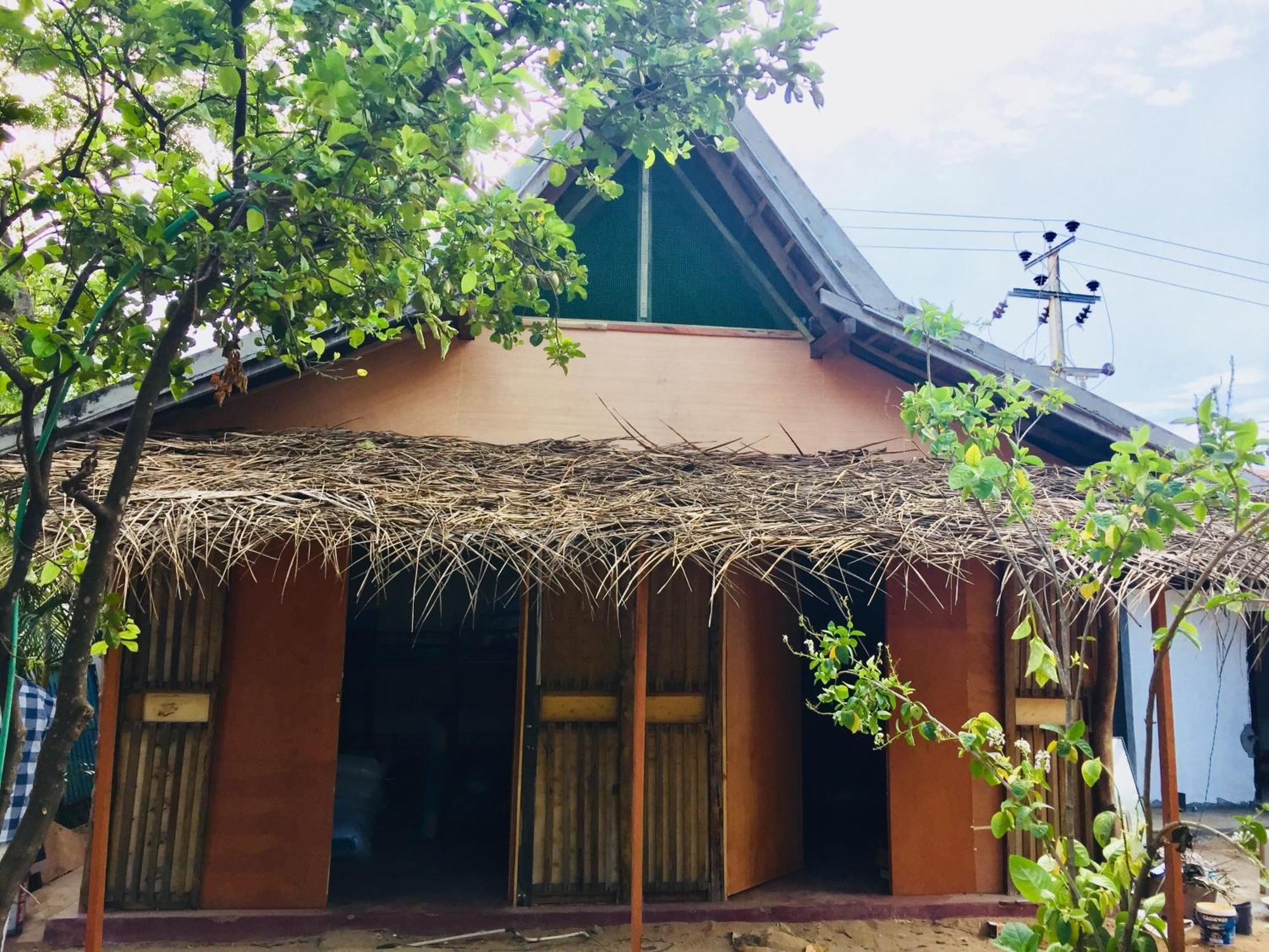 Lemon Tree Hostel Arugam Bay Eksteriør billede